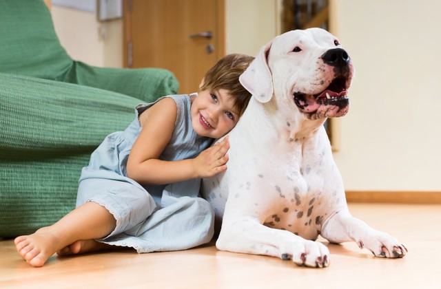 Подарите мне собаку!