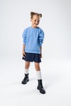 Хлопковый свитшот unisex (светло-голубой)