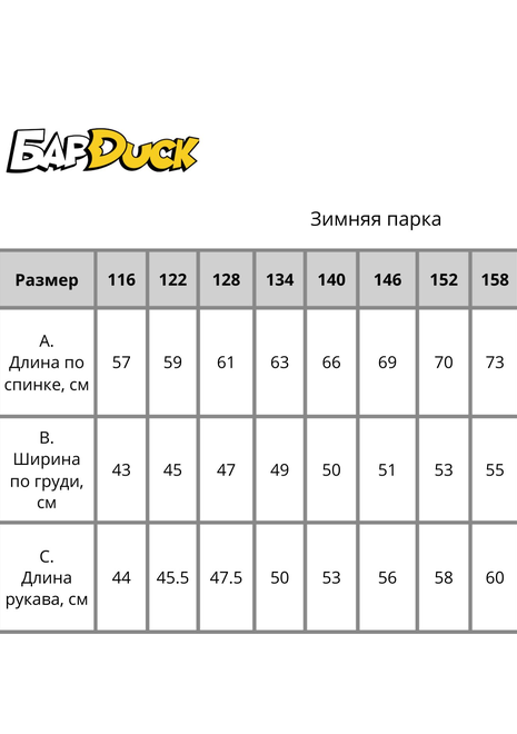 Зимняя парка (черный)